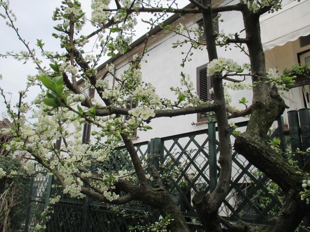 Dimora & Arte B&B Canneto sull'Oglio Exterior foto